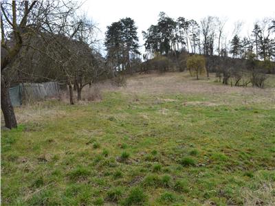 Land for Sale in Livezeni